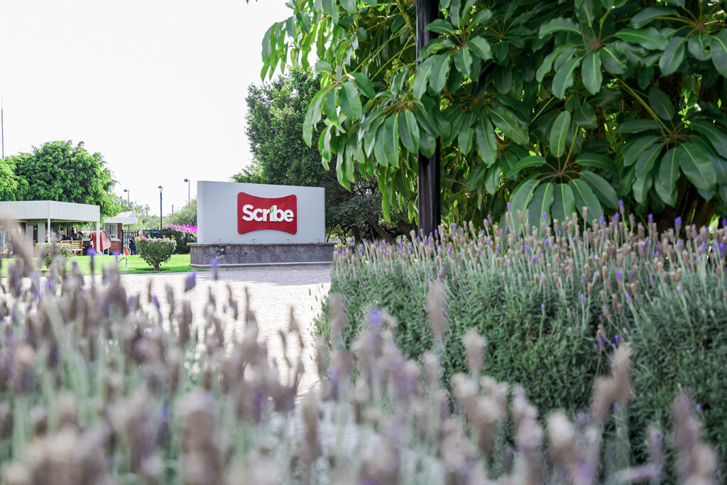 PlantaProduccionScribe-181